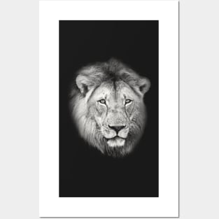 Lion Portrait African Wildlife Posters and Art